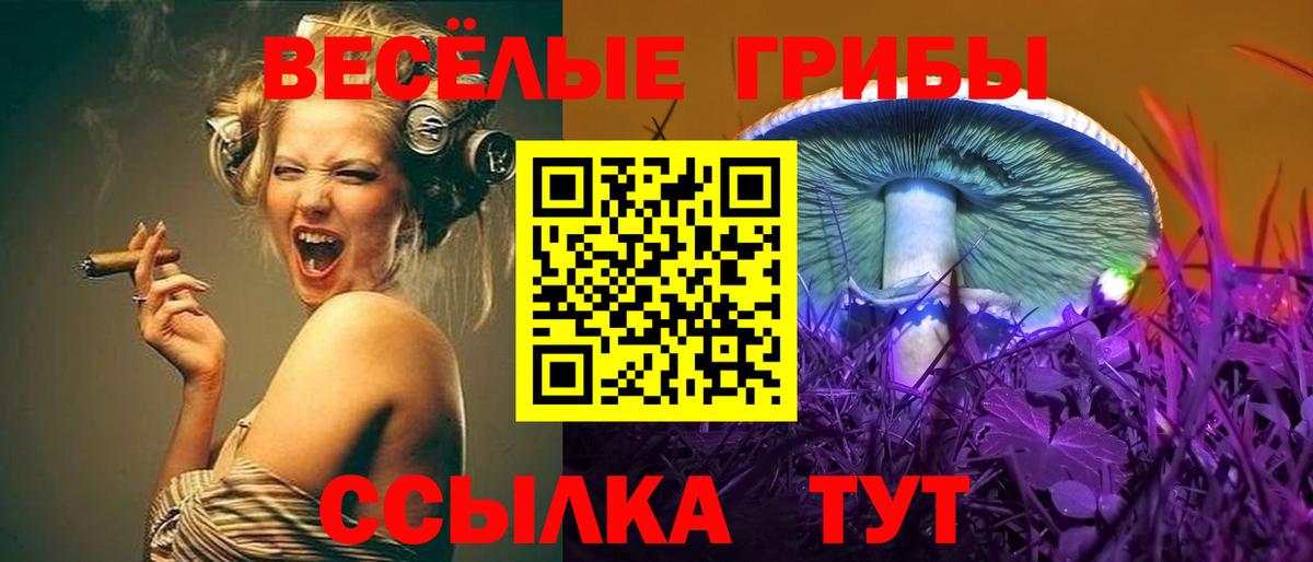 Псилоцибиновые грибы мухоморы Михайловск