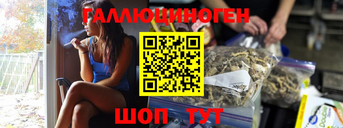 Галлюциногенные грибы мицелий  Псилоцибиновые грибы Magic Shrooms  Михайловск  Вход с VPN 