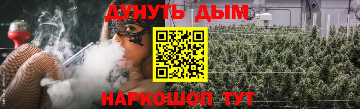 Михайловск  Каннабис план  Вход с VPN  Шишки марихуана Bruce Banner  Канабис конопля 